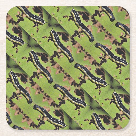 Catalpaは迷彩柄のナマズの魚釣りを徐々に引出します スクエアペーパーコースター (正面)