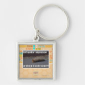 CATapillar キーホルダー (正面)