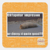 CATapillar スクエアシール (正面)