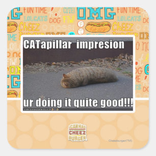 CATapillar スクエアシール