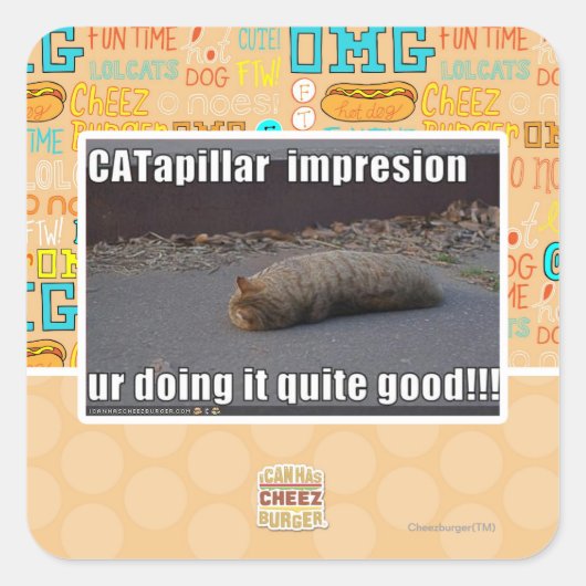 CATapillar スクエアシール (正面)