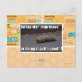 CATapillar ポストカード (正面)