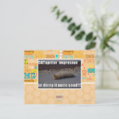 CATapillar ポストカード (スタンド正面)