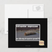 CATapillar ポストカード (正面/裏面)