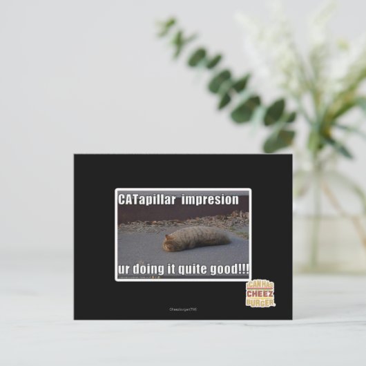 CATapillar ポストカード (スタンド正面)