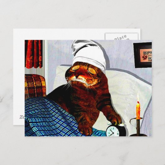 CATaTUDE ポストカード (正面/裏面)