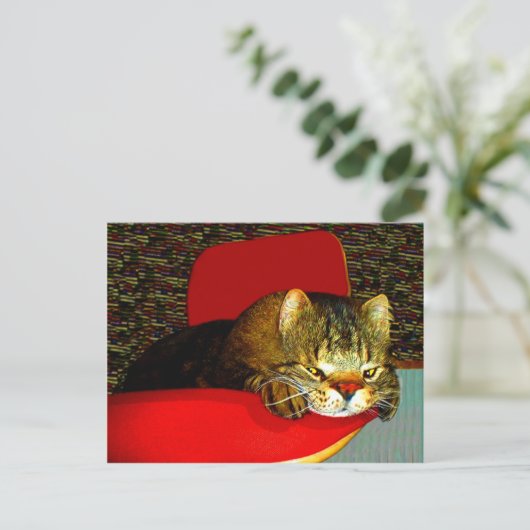 CATaTUDE ポストカード (スタンド正面)