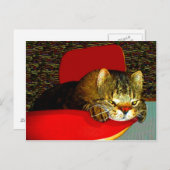 CATaTUDE ポストカード (正面/裏面)