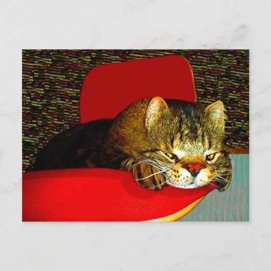 CATaTUDE ポストカード (正面)