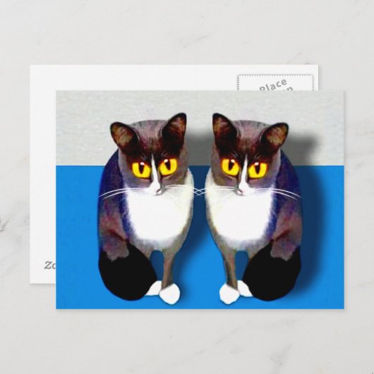 CATaTUDE ポストカード (正面/裏面)