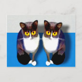 CATaTUDE ポストカード (正面)