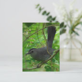 Catbirdはがき ポストカード (スタンド正面)