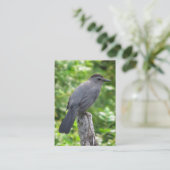 Catbird ATC 名刺 (スタンド正面)