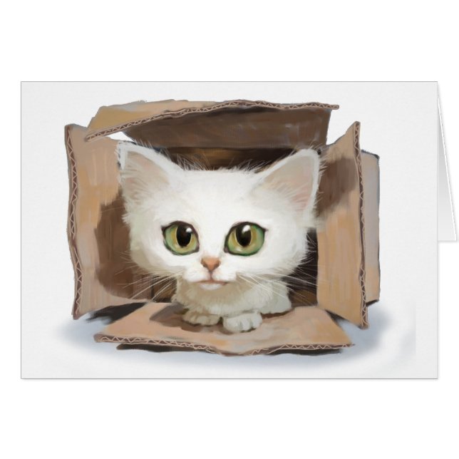Catbox (正面横)