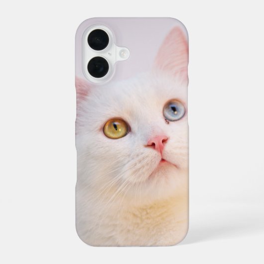 CATch Me iPhone / iPad カバー (裏面)