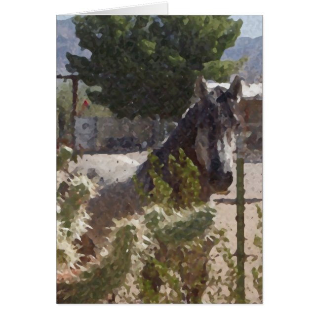 Catcusの灰色の馬 (正面)