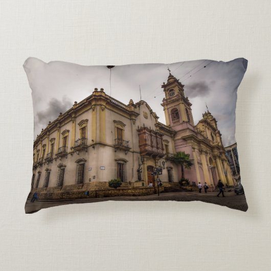 Catedral De Salta アクセントクッション (正面)