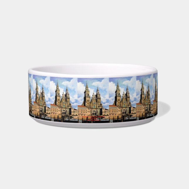 Catedral de Santiago de Compostela (A Coruña) ボウル (正面)