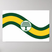 Caterham flag ポスター (正面)