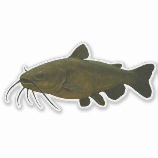 Catfish Cut-out Sticker シール (正面)