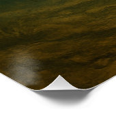 Catfish Poster ポスター (コーナー)