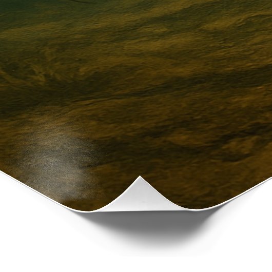 Catfish Poster ポスター (コーナー)