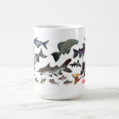 Catfishes of the world コーヒーマグカップ (中央)