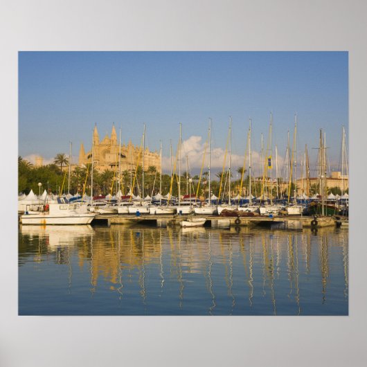 Cathedral and marina, Palma, Mallorca,スペイン ポスター (正面)