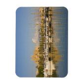 Cathedral and marina, Palma, Mallorca，スペイン マグネット (縦)