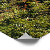 Cathedral Rock,セドナ，アリゾナ州ポスター ポスター (角)