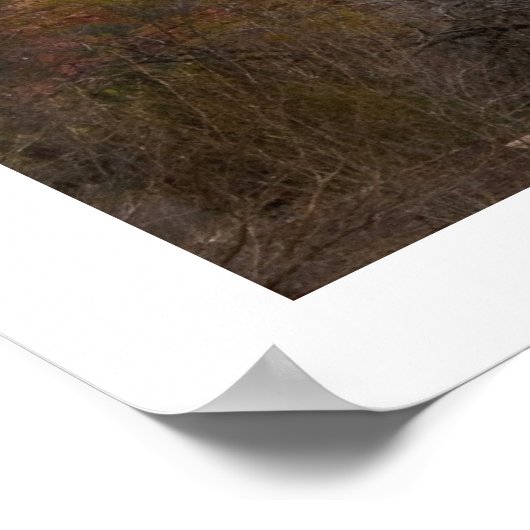 Cathedral Rock ポスター (角)