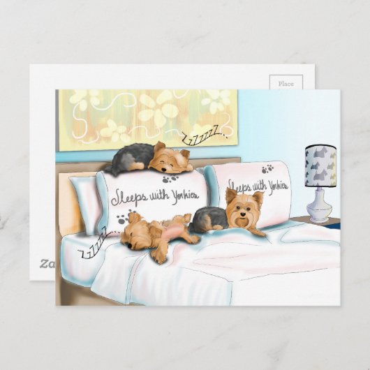 Catia Cho著ヨークシャーテリアの睡眠 ポストカード (正面/裏面)