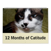 Catitudeの12か月 カレンダー (カバー)