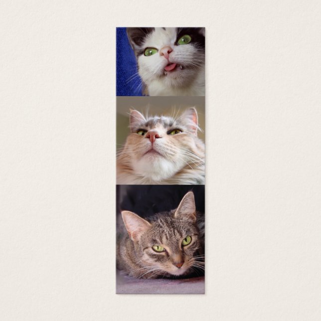 Catloversのブックマーク (正面)