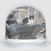 CatMobile/cat on motorcycle seat (正面)