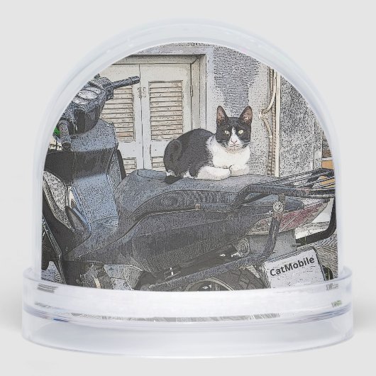 CatMobile/cat on motorcycle seat (正面)