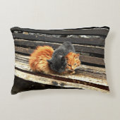 Catnapかわいこちゃん アクセントクッション (正面)