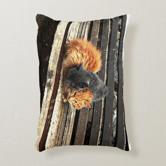 Catnapかわいこちゃん アクセントクッション (正面(垂直))