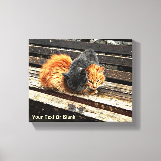 Catnapかわいこちゃん キャンバスプリント (正面)