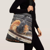 Catnapかわいこちゃん クロスボディバッグ (クローズアップ)