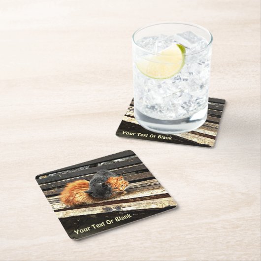 Catnapかわいこちゃん スクエアペーパーコースター (インサイチュ)