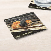 Catnapかわいこちゃん スクエアペーパーコースター (アングル)