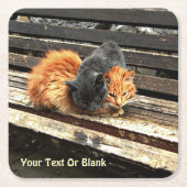 Catnapかわいこちゃん スクエアペーパーコースター (正面)