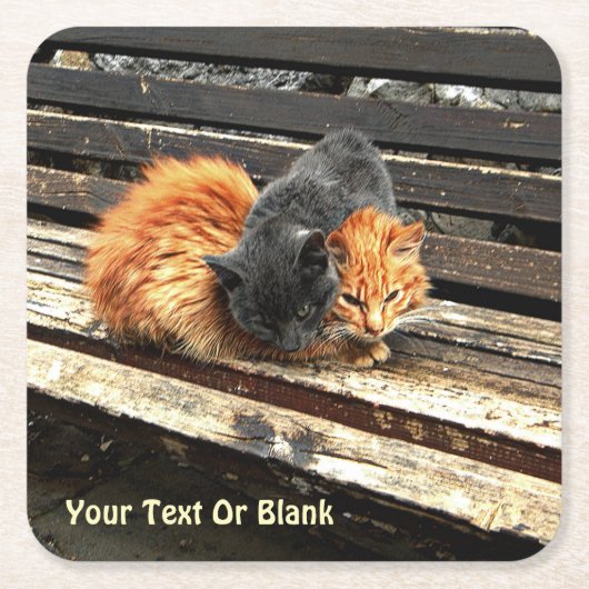 Catnapかわいこちゃん スクエアペーパーコースター (正面)