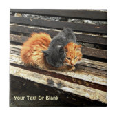 Catnapかわいこちゃん タイル (正面)