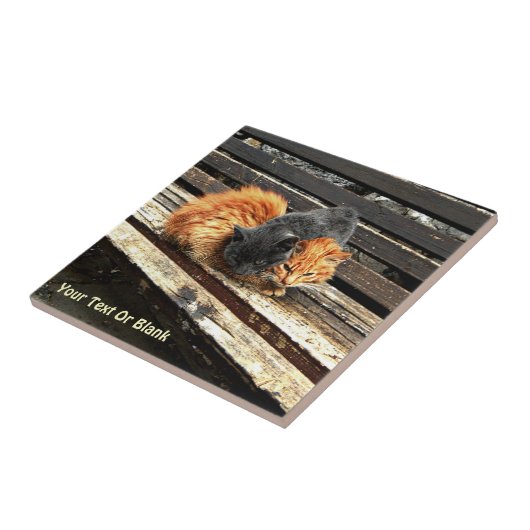 Catnapかわいこちゃん タイル (側面)