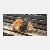 Catnapかわいこちゃん デスクマット (正面)