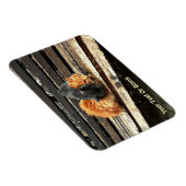 Catnapかわいこちゃん マグネット (右側)