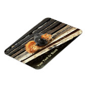 Catnapかわいこちゃん マグネット (左側)