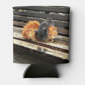 Catnapかわいこちゃん 缶クーラー (正面)